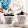 4pcs Orchid Pots Aeration Plant Containers Plastic Garden Tools Multi-Size Transparent for Root Control Home Garden