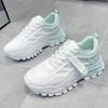 Fashion Small White Women's Shoes 2024 New Fashion Spring and Summer Trend Mesh Breathable Comfortable Casual Neakers