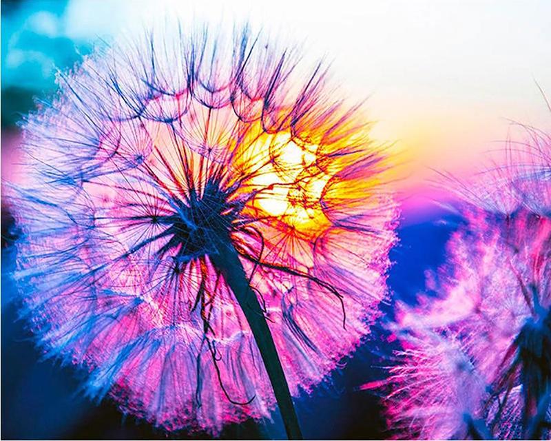 5D DIY Алмазная картина Клан волка Девушка Полный квадратный круглый набор для вышивки крестом Алмазная вышивка Сад Уличный пейзаж Мозаика Ручная работа Домашний декор