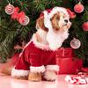 Рождественская одежда для собак, костюм Санта-Клауса для собак, зимнее пальто для щенков и кошек, куртка, костюм для собак с шапкой, теплая одежда для собак и кошек