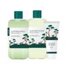 For Men Pine Soothing Toner & Lotion 2-Piece Set (+40ml Cleanser Gift)
