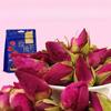 Authentic Rose Tea High Grade Dried Rose Fragrance Herb Tea Bag 100g