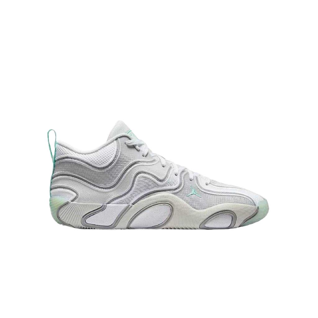 Jordan Баскетбольные кроссовки Tatum 3 Low top Мужские Серебристые FZ6601-005