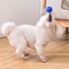 New Squeaky Balls Interactive Toys