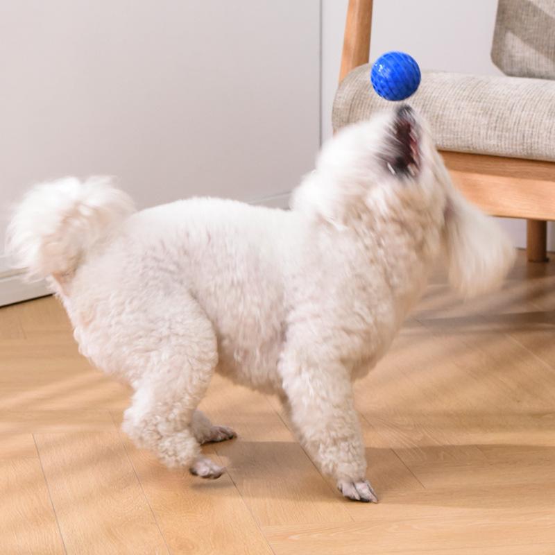 New Squeaky Balls Interactive Toys