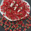 30 Pcs Cherries Nail Art Resin Nail Charms Nail Jewelry 3D Nail Fruit Cherry Decor