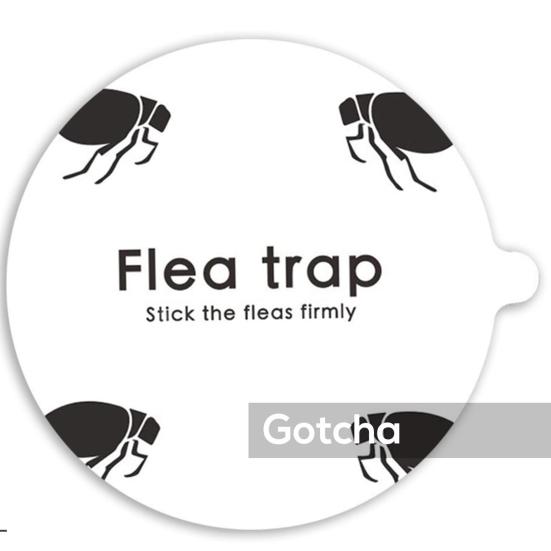 Безопасные ловушки для приманок от блох, долговечные, экологически чистые