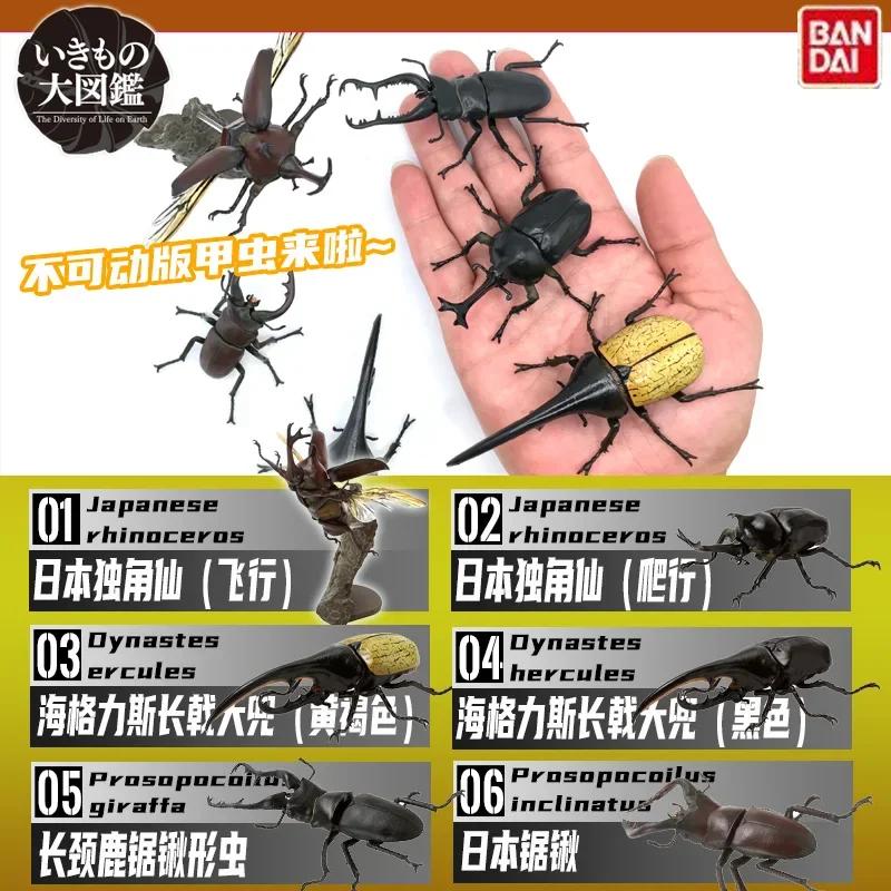 Украшение Скрученное Яйцо Насекомое Мини Жук Unicorus Dynastes Модель Животного Коллекция Настольное Украшение ФИГУРКА ИГРУШКИ