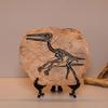 Handcrafts Dinosaur Fossils Model Simulated Dinosaur Skeleton Resins Statue Figurine for Home Decors and Educational Use