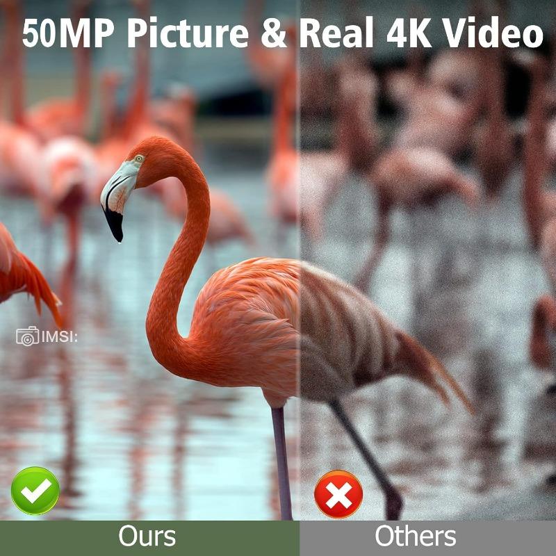 2025 Солнечная камера для дикой природы 50 МП 4K видео Камера слежения Ночное видение 0,3 с Активация движением Водонепроницаемая садовая камера Наружное наблюдение за охотой