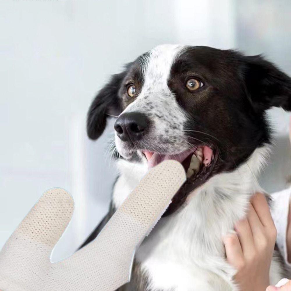 Two-finger Pet Tooth Brush Dog Cat Oral Cleaning Tools Finger Teeth Gloves for Puppy Kittens Nursing Supplies Tooth Decay