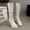 Модная женская обувь 2024 Новая модная женская обувь Ботфорты на платформе и высоком каблуке Сапоги до колена На молнии Сексуальная длинная обувь Сапоги для женщины