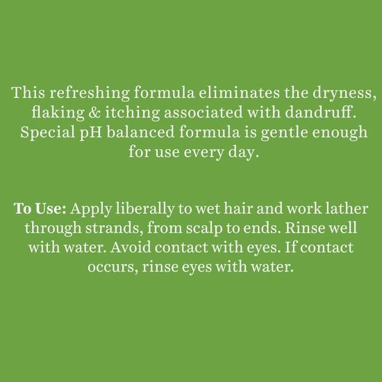 Шампунь и кондиционер против перхоти Biotique Fresh Neem | Контролирует перхоть |наша |Подходит для всех типов кожи | 650 мл