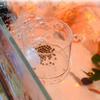 Rectangle/Round Acrylic Aquarium Fish Feeder Transparent Floating Fish Food Tray  Feeding Fishes