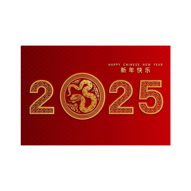 New Year Door Mat Snake Year Door Mat Festive Entryway Water Absorbent Non-slip Foot Mat Entry Door Red Carpet