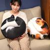 Cat Throw Pillow Plush Toy Kitten Doll Children Soothing Cloth Doll Futon Tatami Seat Cushion