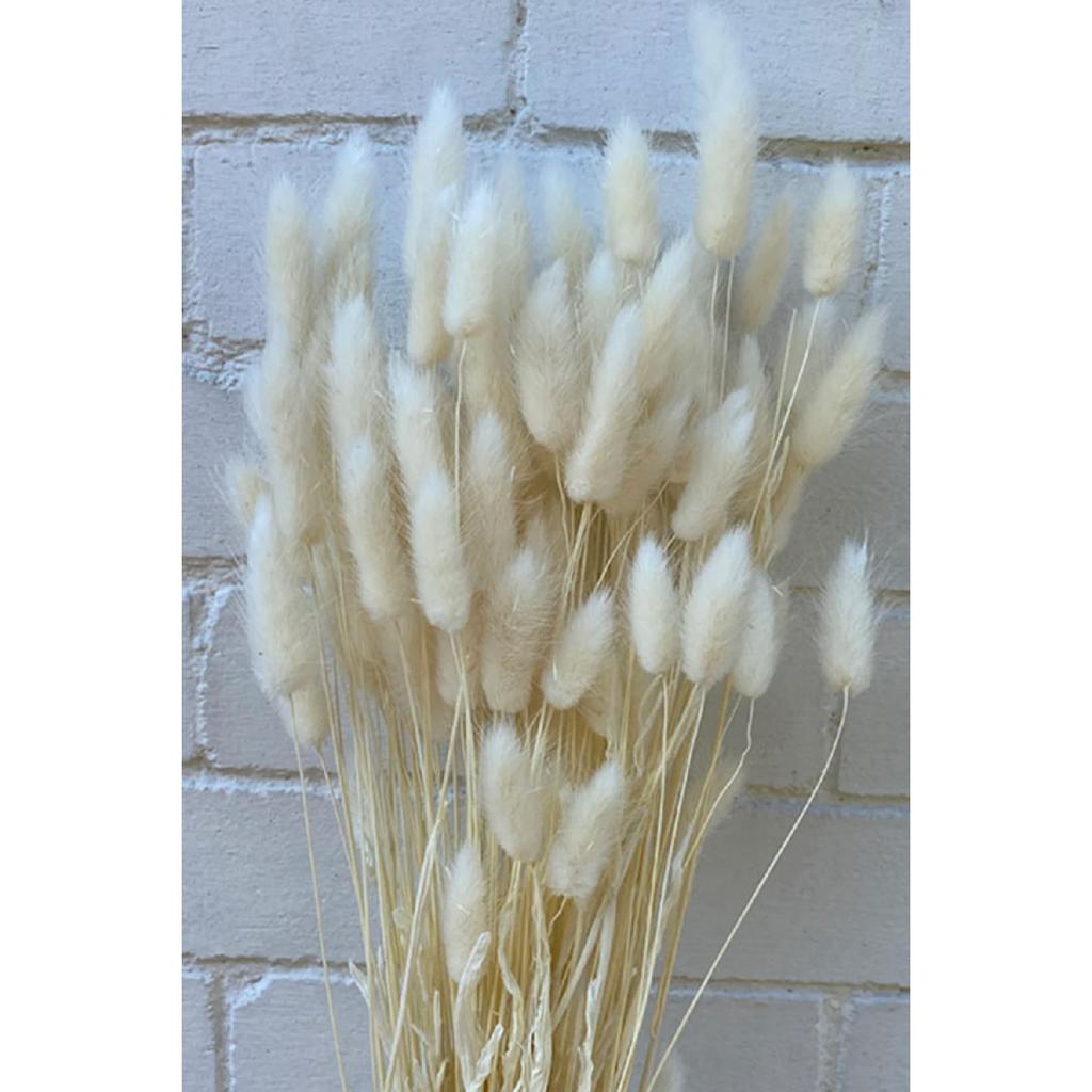 Натуральная сушеная хлопчатник, кроличий хвост, свадебный букет, композиция из цветов лагуруса, 30 веток