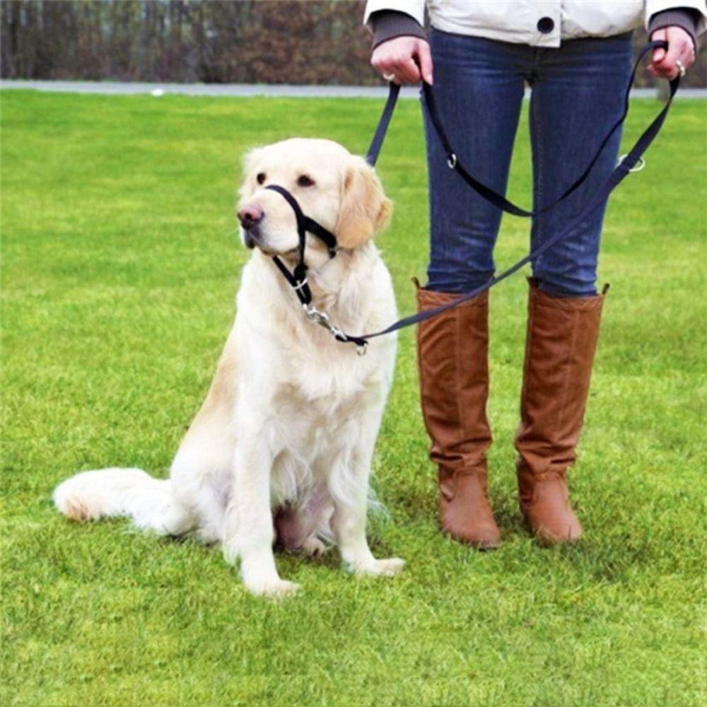 Dogs Prevent from Biting Pet Traction Training Belt Dog Mouth Cover Harness Pet Muzzle Dog Collar