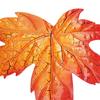 Maple Leaf Metal Wall Decoration Simulation Maple Leaf Shape Metal Art for Festive Housewarming Gifts
