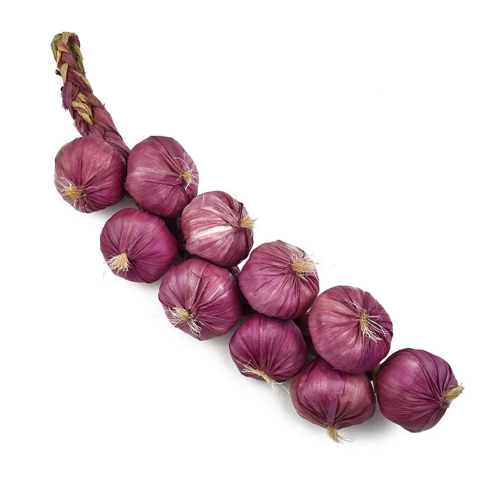 Food Hanging Vegetable Garlic Kitchen Office Onion Party Photography Plastic Props Simulation String Artificial Decor Fake