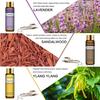 PHATOIL 9 шт. Подарочный набор ароматических эфирных масел с деревянной горелкой для эфирного масла Набор ароматических масел с ароматом жасмина и розы Диффузор свежести воздуха для ухода за кожей