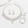 5 шт. Женский модный изысканный комплект: серьги-капли воды с цепочкой-когтем, ожерелье, браслет, циркон, свадебный банкет, вечеринка, фестивальный подарок