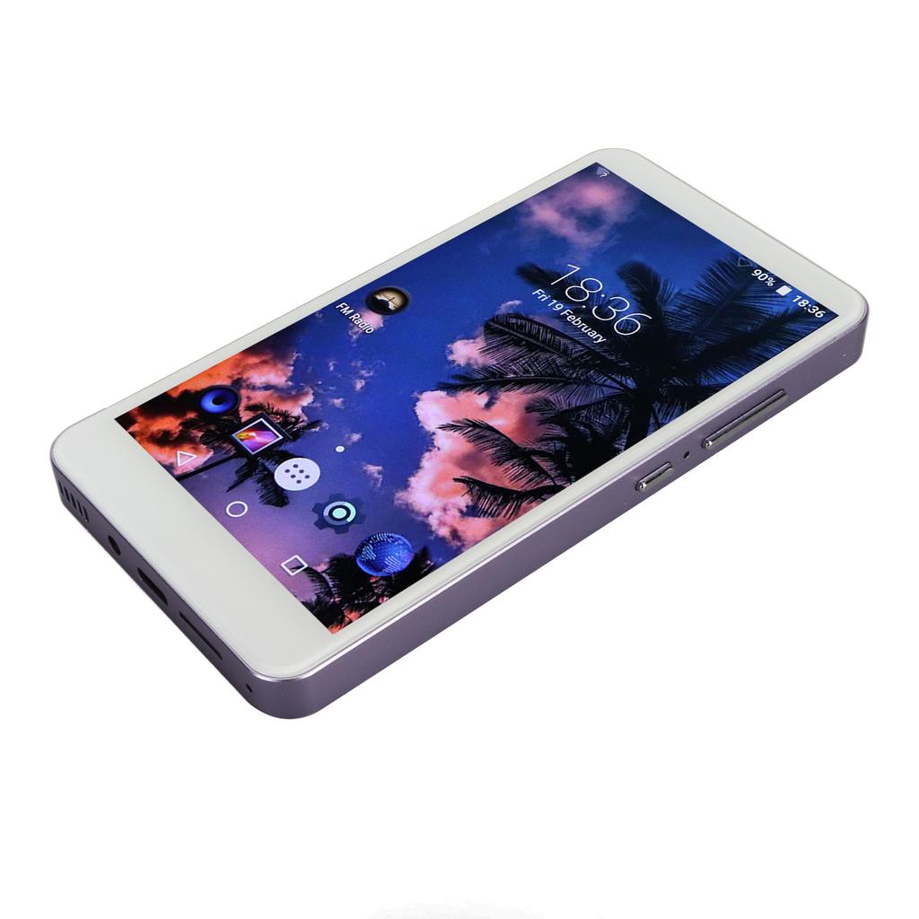 5,0-дюймовый MP4-плеер Музыкальный плеер Full Touch HD-экран Шумоподавление Портативный 5,0 Музыкальный плеер для FM-радио