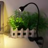 Sample Style USB LED Table Light Mini Desk Night Lamp with Clip for Home Study Reading
