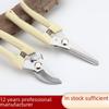 Stainless Steel Pruning Shears - Garden Tool for Branches, Fruits, Flowers, and Grafting.