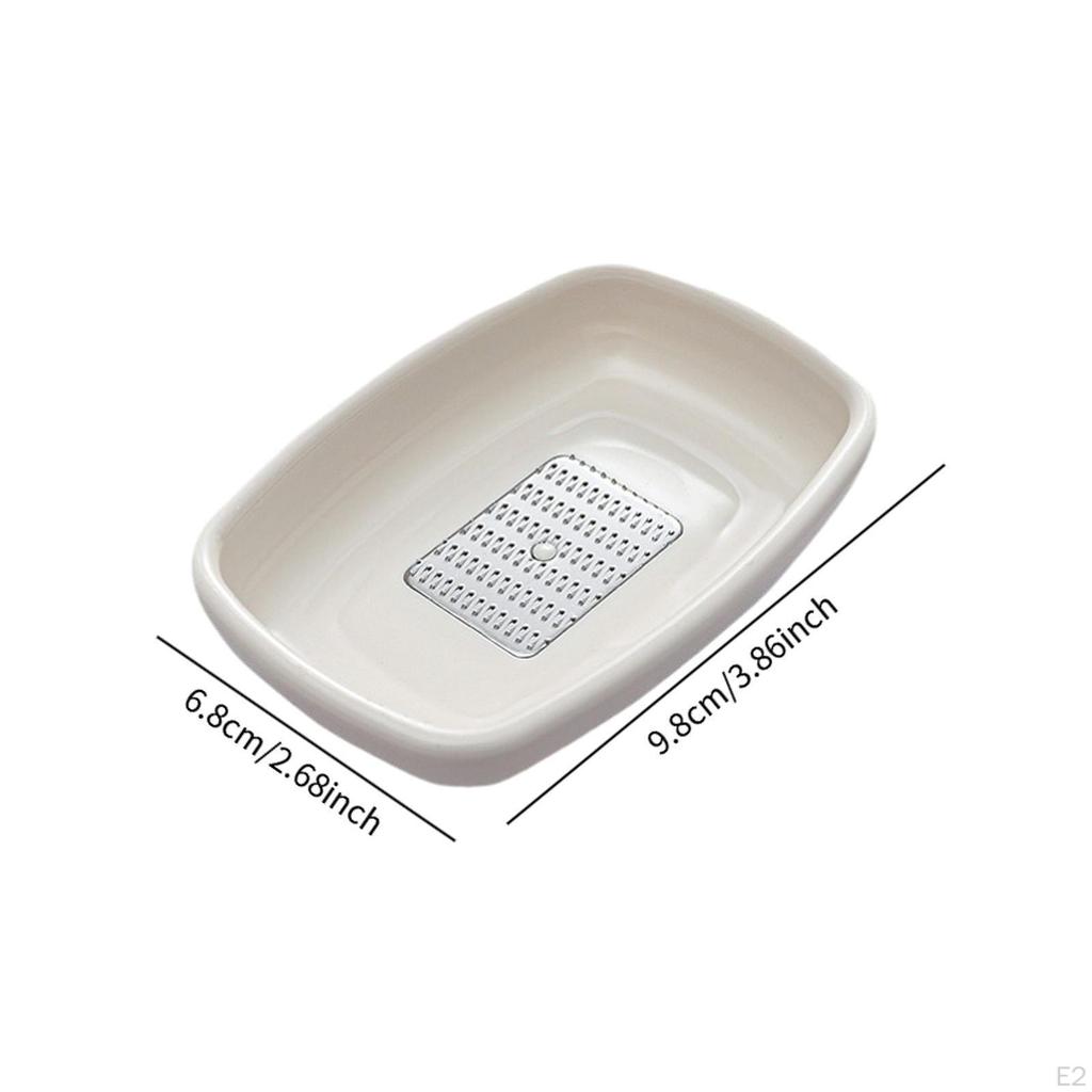 Garlic Grater for Ginger Kitchen Plate Wasabi Baby Food