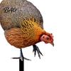 Decorative Yard Stake Realistic Acrylic Animal Stake, 2D Flat Chicken Goose Bird Garden Decoration Bunny Sign for Pathway, Patio, Lawn Outdoor