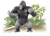 TAKARA TOMY Игрушка динозавр Ania Gorilla Animal Ages AS-36 (Дикая версия.) 3+