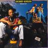 12inch Record BRAND NUBIAN - Wake Up 7559665970 ELEKTRA 1990 Germany Rap & Hip-Hop/R&B Used