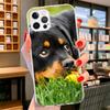 Чехол для телефона с изображением собаки породы ротвейлер Для iPhone 16 17 Air 15 14 Pro Max 16E Чехол для телефона 13 Mini 12 11 7 SE 8 Печатный узор Подходящие чехлы 1