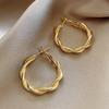 Classic Simple Twisted Weaving Metal Hoop Earrings for Woman 2025 New Vintage Geometric Statement Earrings Zircon Brincos Gift