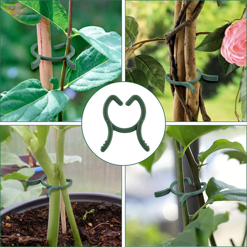 100/200 шт. зажимы для поддержки растений для вьющихся растений многоразовые зажимы для захвата садовых овощей и томатов