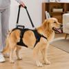 Two-Part Dog Support with Front Walking Section, Rear Support Section, and Side-Release Buckles for Daily Use