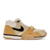 Air Trainer 1 Coconut Milk Men Sneakers Cream Team-Gold Sail DV7201-100