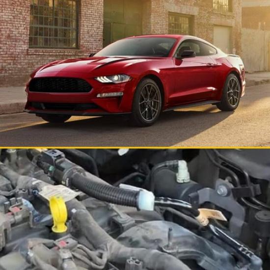 Fuel Vapour Hose For 2015- Ford Mustang FR3Z-9G297-H FR3Z9G297H EOOK