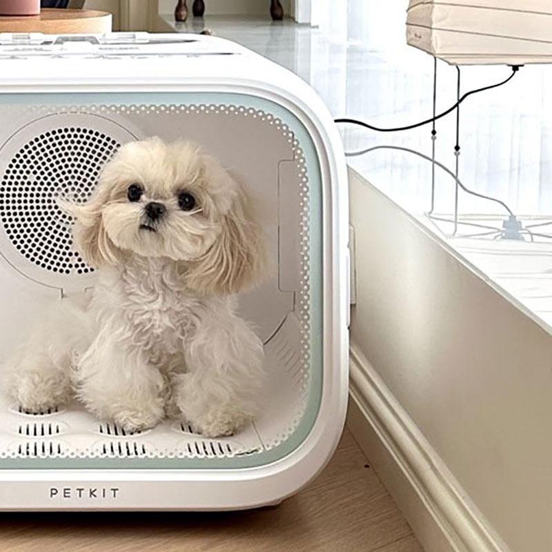 Mini Cat Dryer Machine Household Pet Grooming Drying Cabinet Profession Blower Box for Cat Animal Bathing Dry Room Products