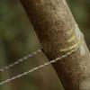 Outdoor Survival Wire Saw