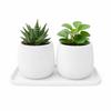 Set of 2 Mini Flowerpots with a White Saucer