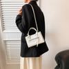 Trendy Stylish Women's Handbag Fashionable Pu Small Square Bag In Multiple Colors