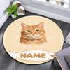 Custom Name,Cat Fish Label Portrait pattern round rug,Carpet Rug for Living Room Bedroom Playroom ,Non-slip Floor Mat,Holiday Gifts and Birthday Gifts