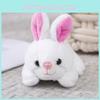 Creative Cute Plush Rabbit Keychain Stylish Unique Bag Charm Delicate Adorable Couple Gift