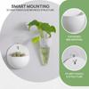 Plastic Wall Hanging Pot with Adhesive Hook Simple Garden Planter for Study Kitchen Vertical Greening Decoration