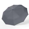 Lijing Tiancheng LJ3018 10-Rib Automatic Sun & Rain Umbrella