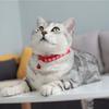 For Puppy Kitten With Bell Cat Paw Print Grooming Accessories Pet Collar Pet Supplies Cat Necklace