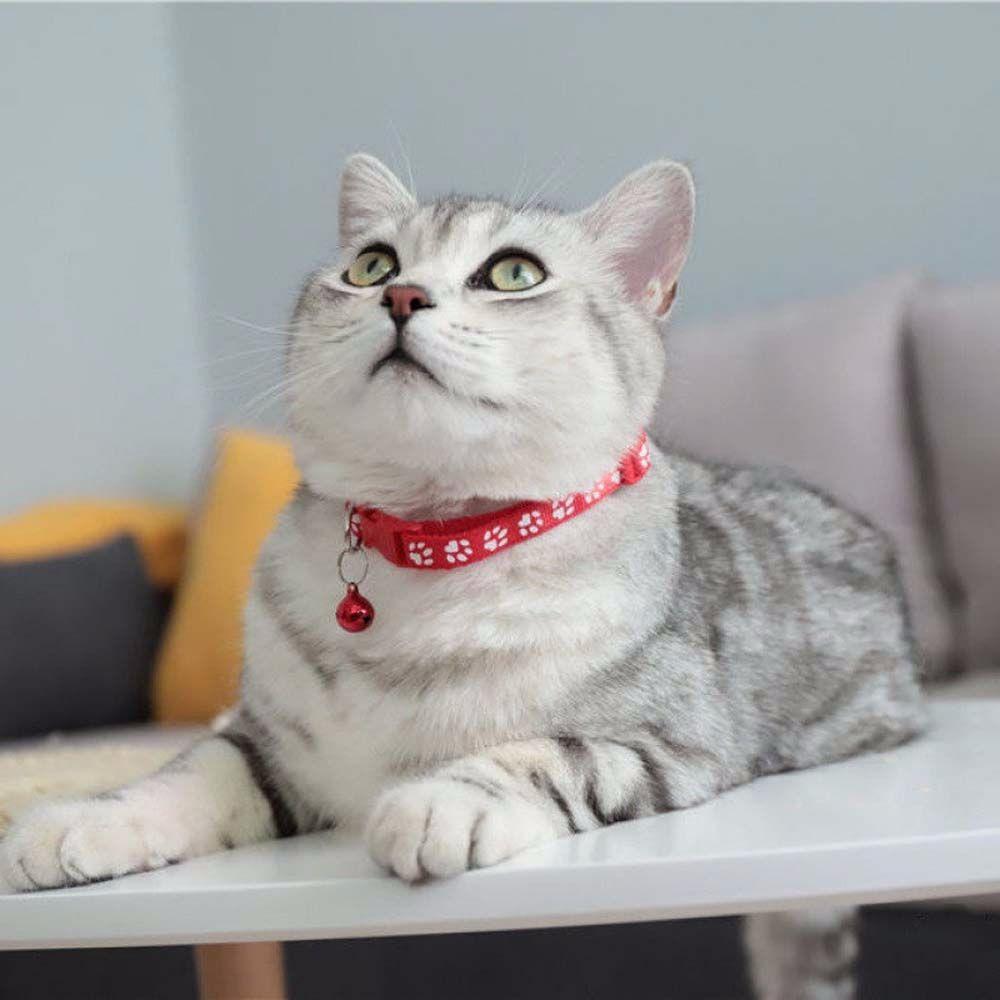For Puppy Kitten With Bell Cat Paw Print Grooming Accessories Pet Collar Pet Supplies Cat Necklace