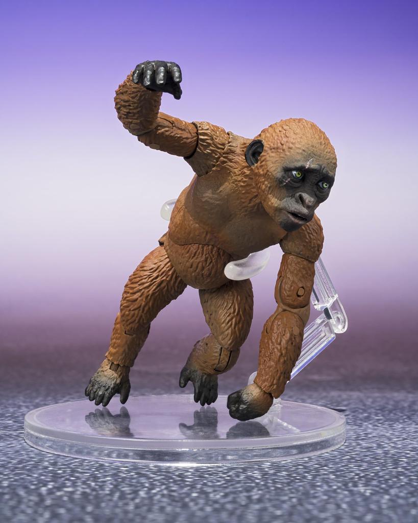 TAMASHII NATIONS Годзилла против Конга Новая империя Годзилла против Скора Новая империя Фигурка Bandai Spirits Конг и Мотра (2024) SHMonsterArts